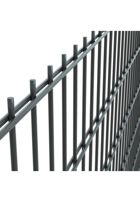 Dubbeldraad paneel type 6/5/6